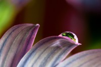 /album/water-drops/img-5985-1-2-jpg/