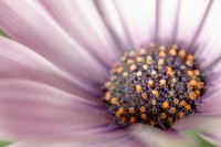 /album/water-drops/img-5993-1-jpg/