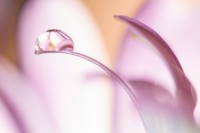 /album/water-drops/img-5994-1-4-jpg/