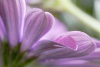 /album/water-drops/img-5989-1-jpg/